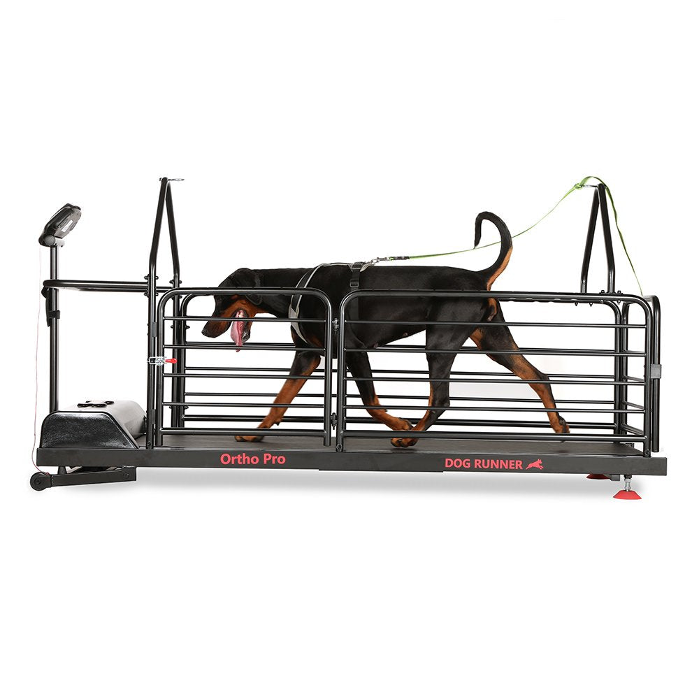 The benefits of a dog treadmill