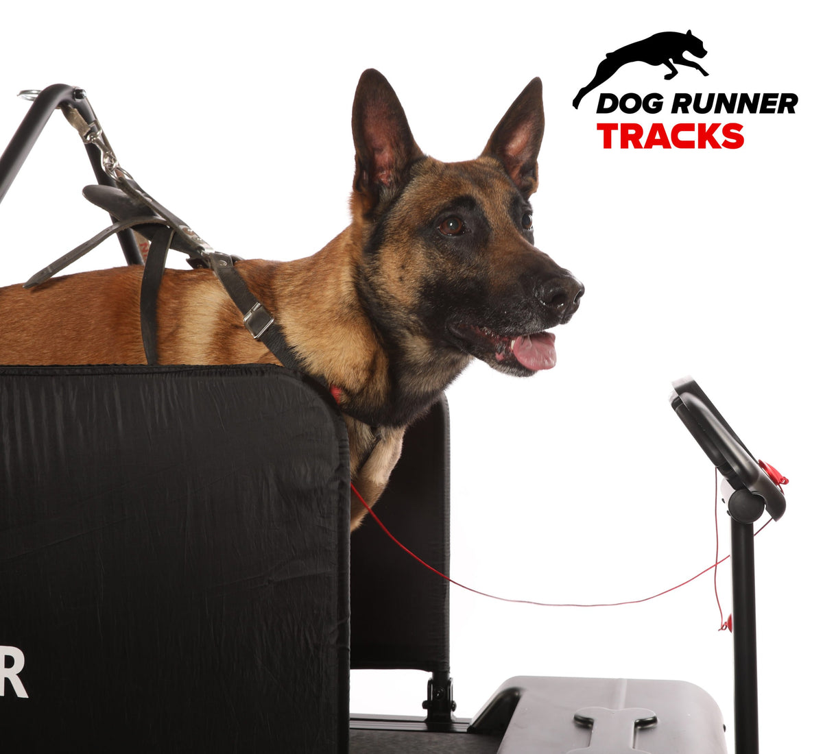 Tracks