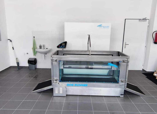 Aqua Runner
