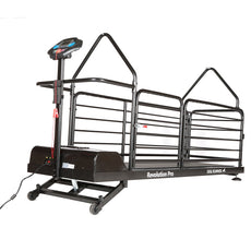 Revolution Pro
