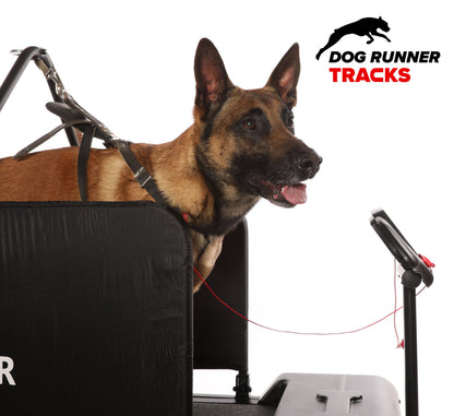 Tracks