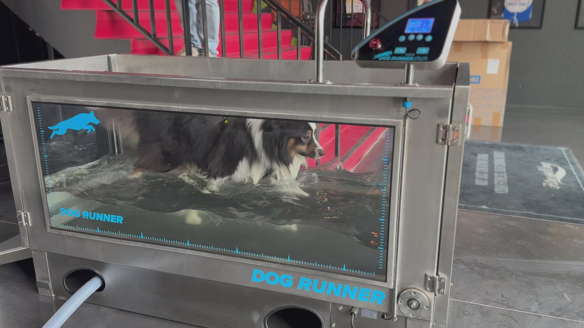 Load video: Aqua Runner
